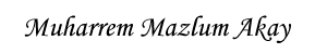 M.Mazlum akay